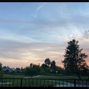 Meet your Posher, Ricki